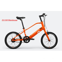Speziales E -Fahrrad für Kinder